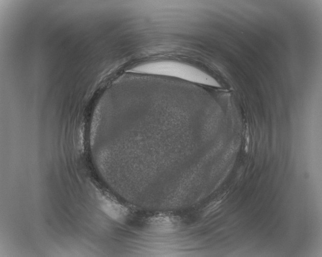 X0000078860404200612041937