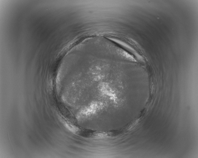 X0000078860405200612041937