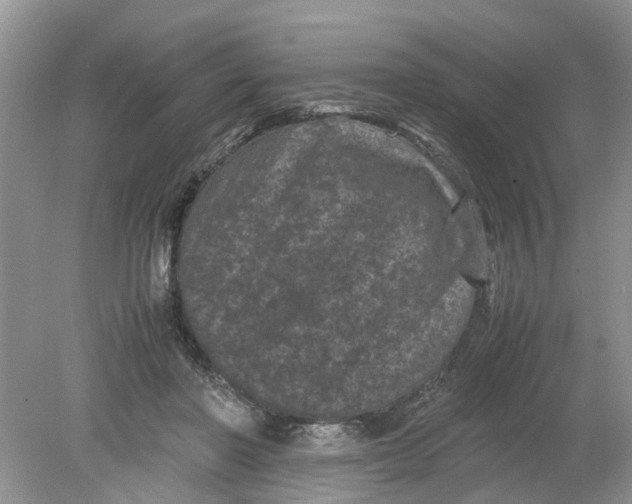 X0000078860406200612041937