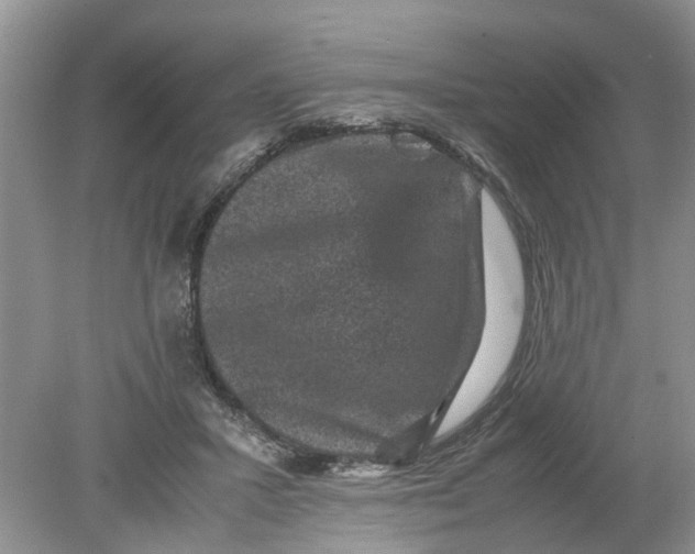 X0000078860407200612041937