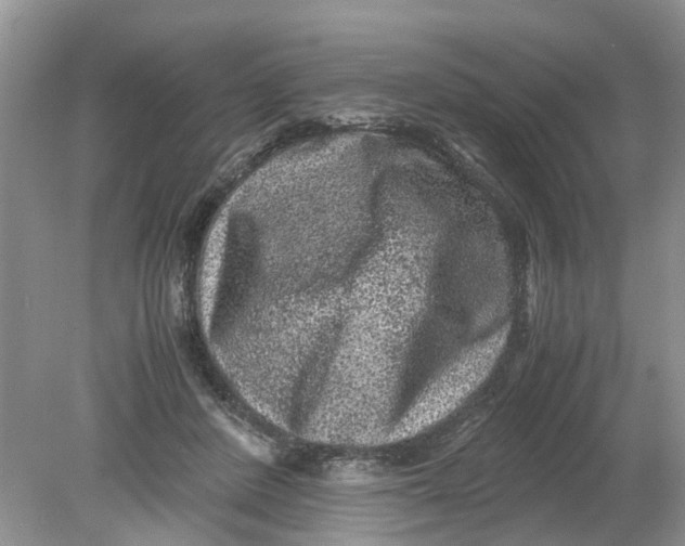 X0000078860408200612041937