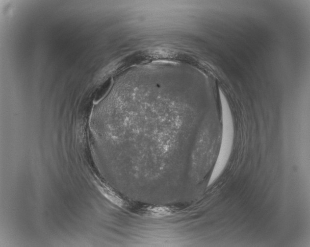 X0000078860409200612041937