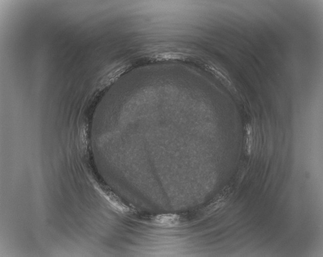 X0000078860410200612041937