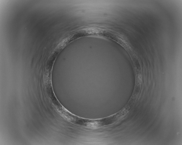 X0000078860411200612041937