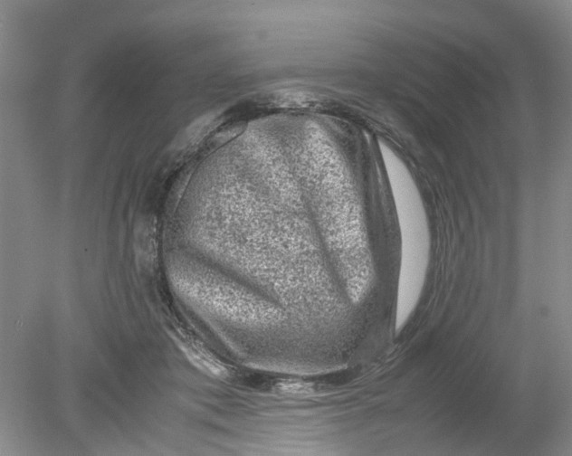 X0000078860413200612041937