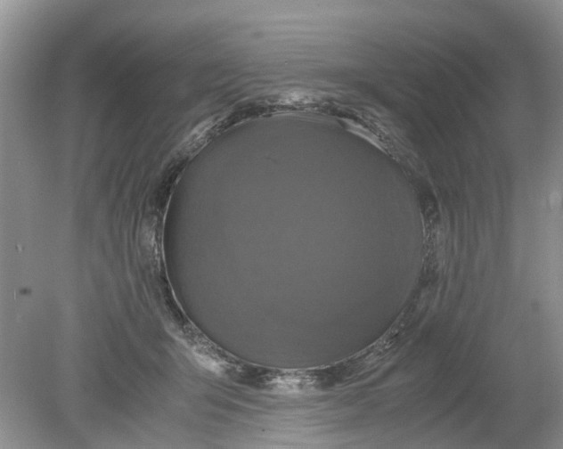 X0000078860415200612041937