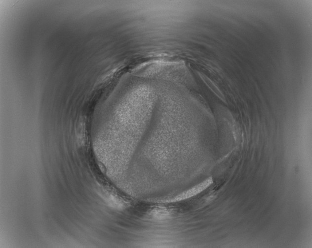 X0000078860416200612041937