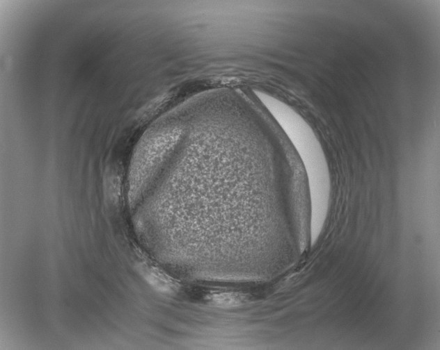 X0000078860417200612041937