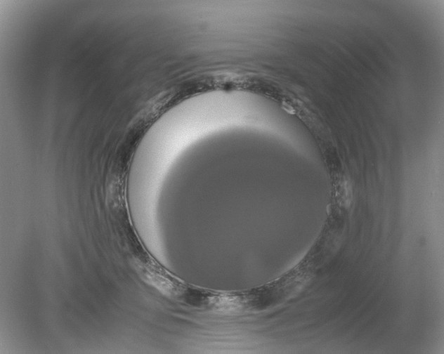 X0000078860419200612041937