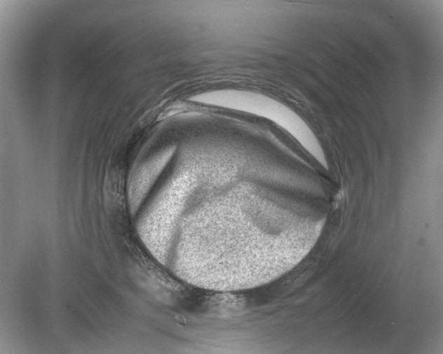 X0000078860421200612041937