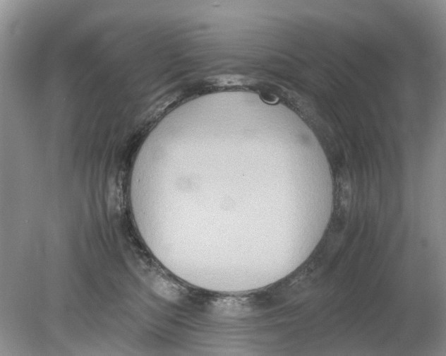 X0000078860422200612041937