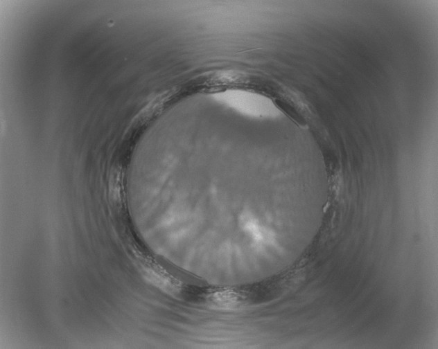 X0000078860423200612041937