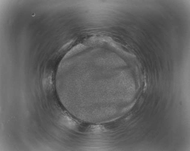 X0000078860424200612041937