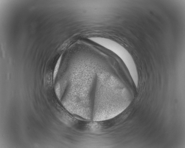 X0000078860425200612041937