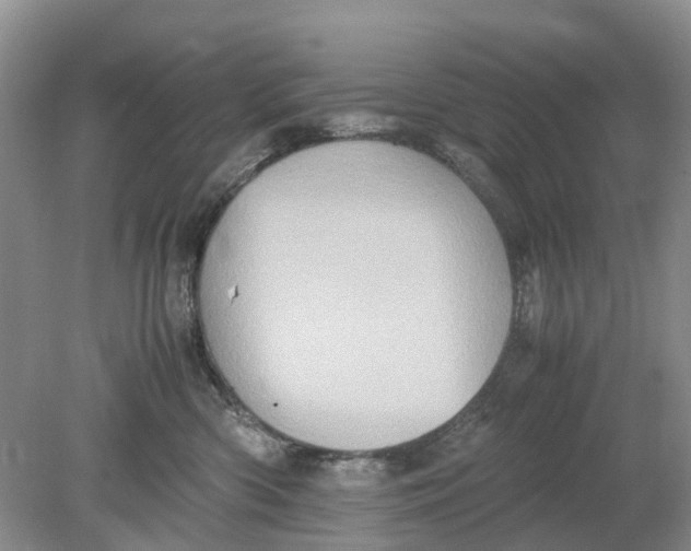 X0000078860426200612041937