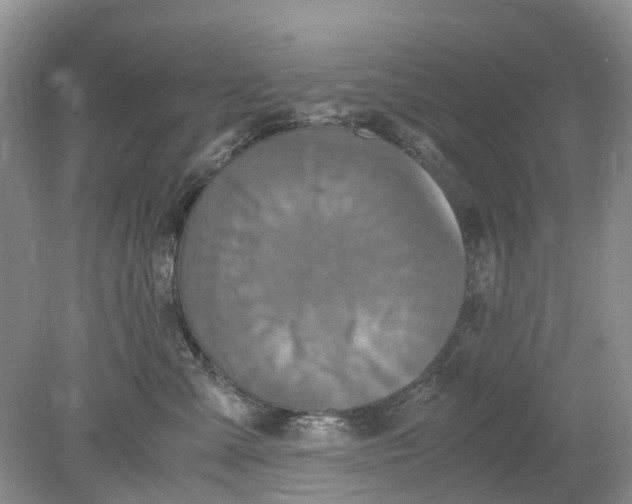 X0000078860427200612041937