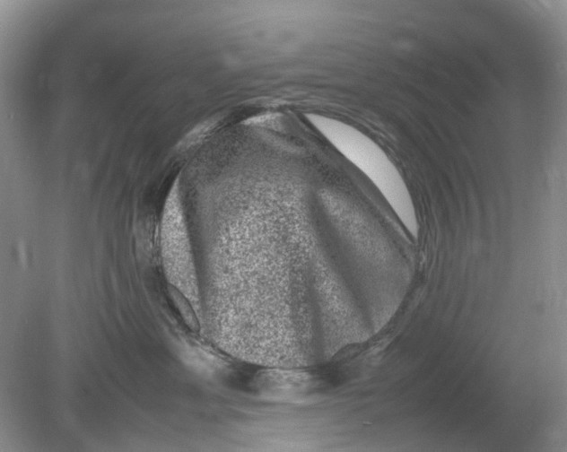 X0000078860429200612041937