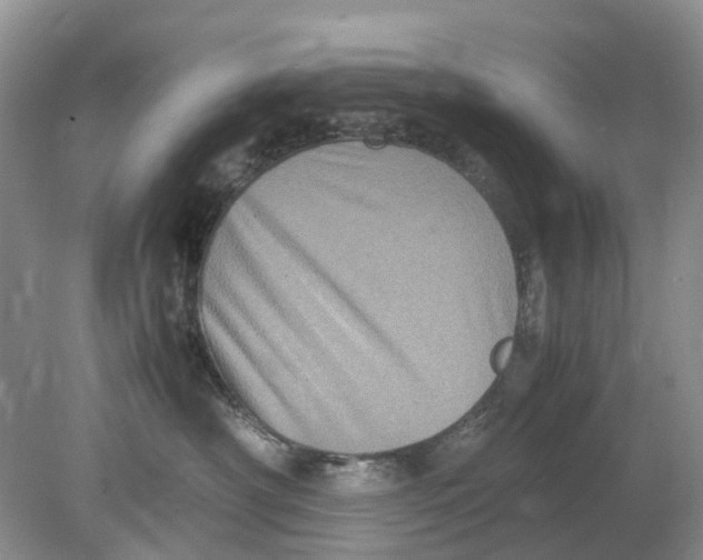 X0000078860430200612041937