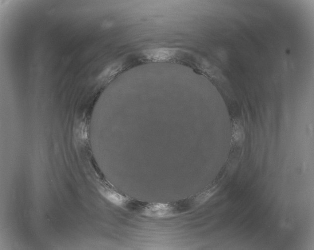 X0000078860431200612041937