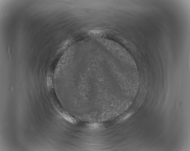 X0000078860432200612041937