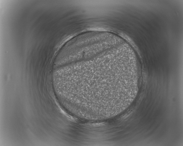 X0000078860433200612041936