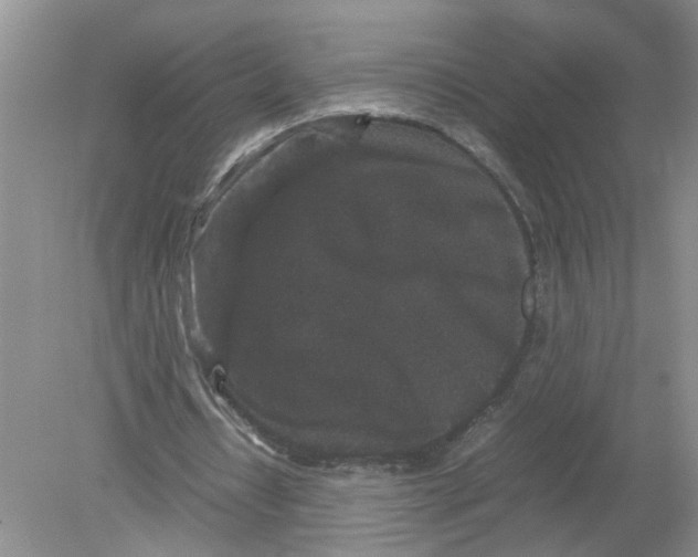 X0000078860434200612041936