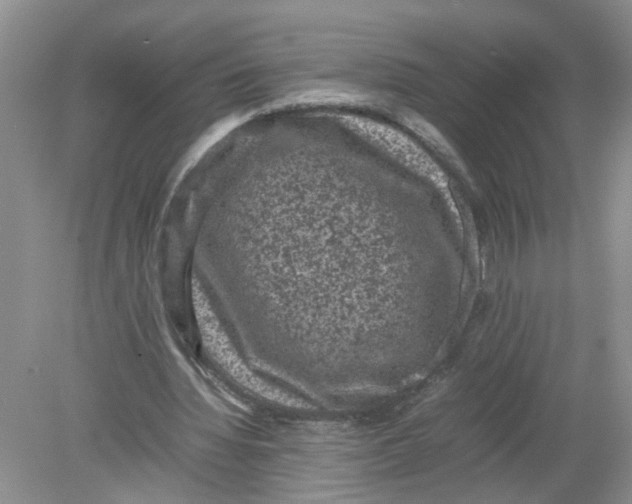 X0000078860436200612041936