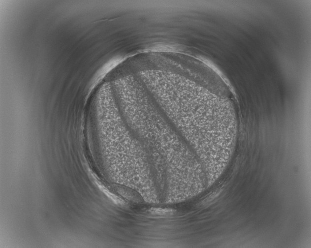 X0000078860437200612041936