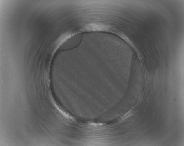 X0000078860438200612041936