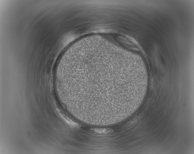 X0000078860439200612041936