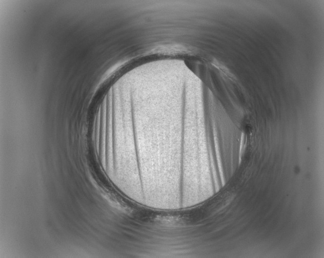 X0000078860440200612041936