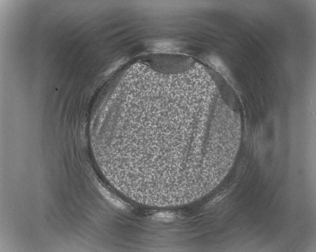 X0000078860441200612041936