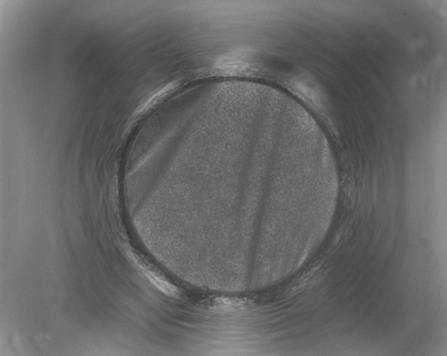 X0000078860442200612041936