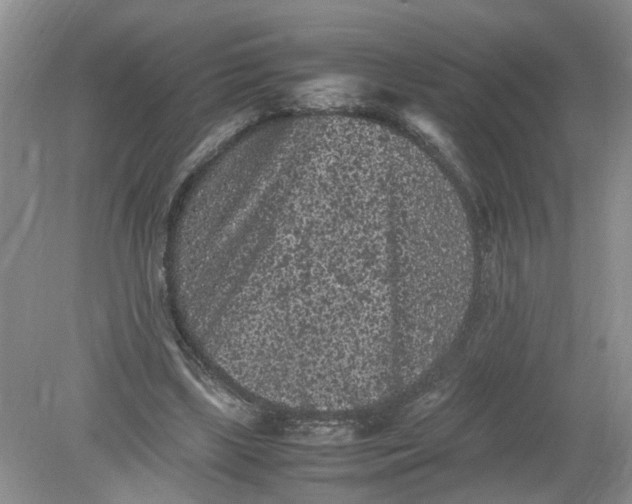 X0000078860443200612041936