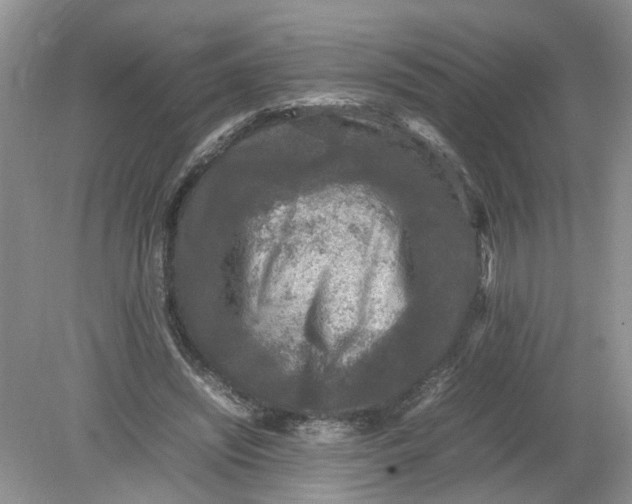 X0000078860444200612041936