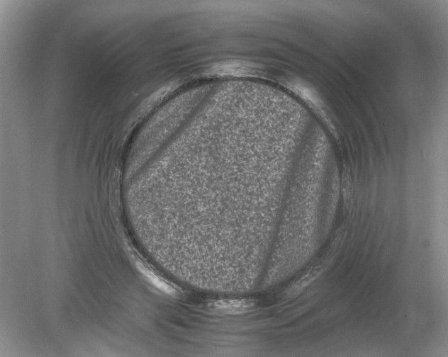 X0000078860445200612041936