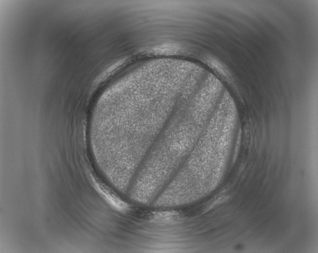 X0000078860446200612041936