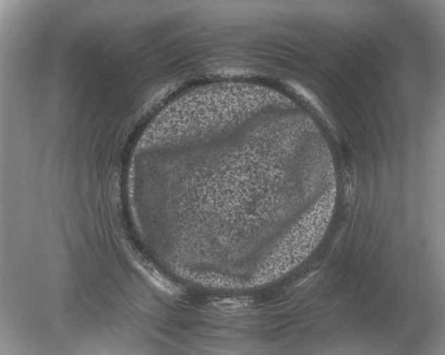 X0000078860447200612041936