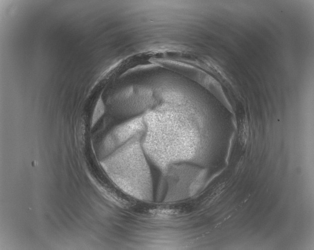 X0000078860448200612041936