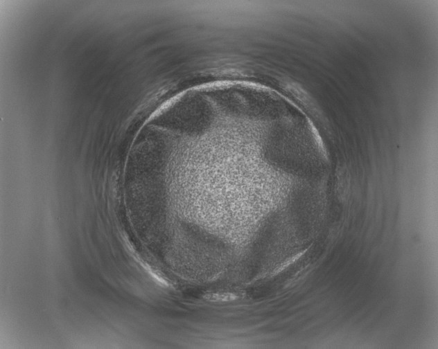 X0000078860449200612041936