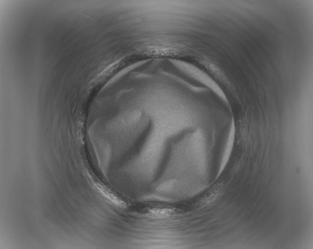 X0000078860450200612041936