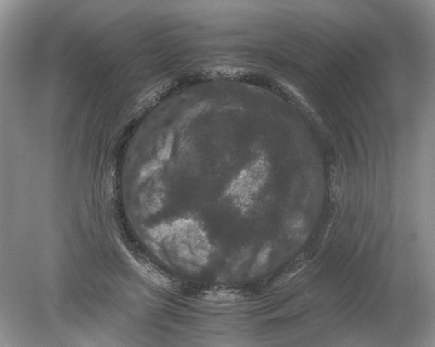 X0000078860451200612041936