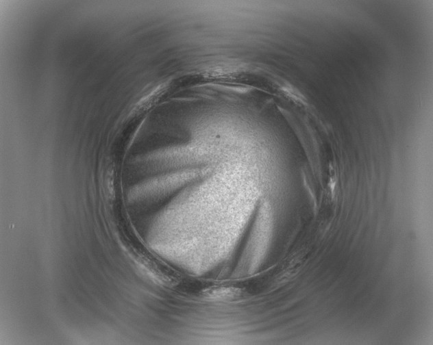 X0000078860452200612041936