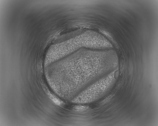 X0000078860453200612041936