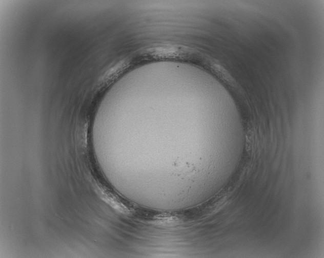 X0000078860454200612041936