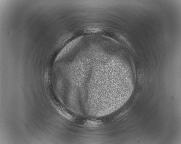 X0000078860455200612041936