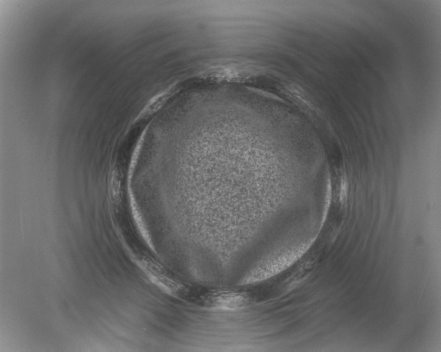 X0000078860456200612041936