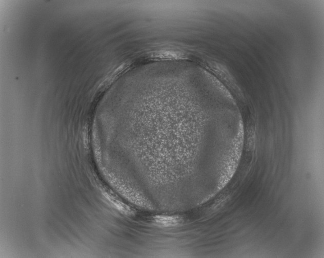 X0000078860457200612041936