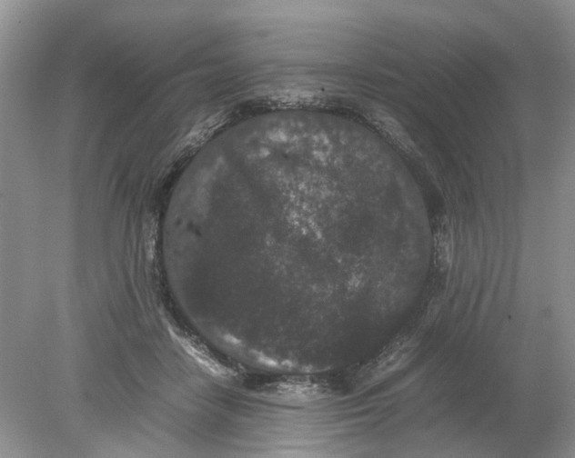 X0000078860458200612041936