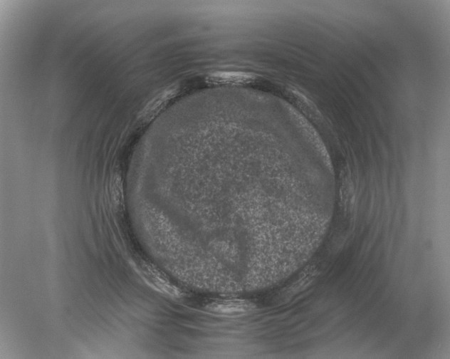 X0000078860459200612041936